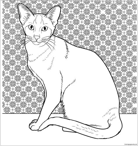 Siamese Cat Coloring Pages Printable