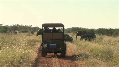 Madikwe Game Reserve - Where To Stay