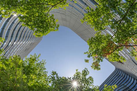 Different sectors, a shared passion for sustainability - Capgemini India