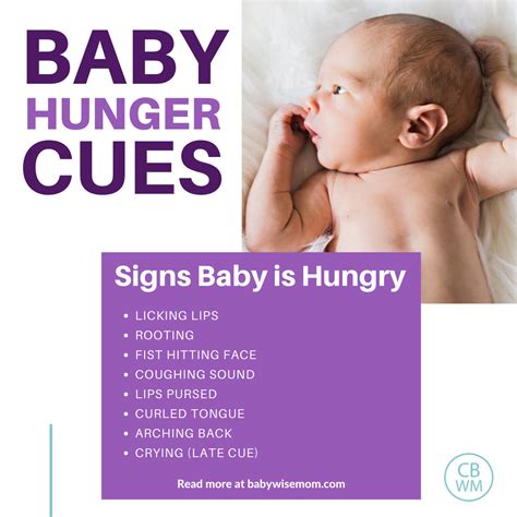 Hunger Cues: How To Know if Baby Is Hungry - Babywise Mom