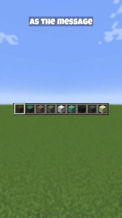 Image result for Minecraft Hot Bar Java