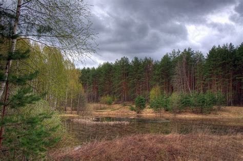 20 достопримечательностей Богородска 2024: фотографии и описания — Tur ...