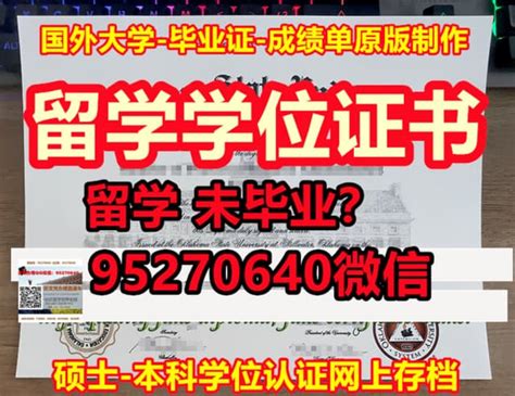 网上怎么查询毕业证信息（学信网毕业证查询官网入口） - 鱼摆摆教程