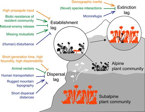 Plant Community 的图像结果