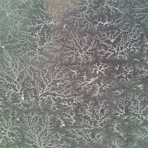 Image result for Machine Learning Diffusion-Limited Agregation