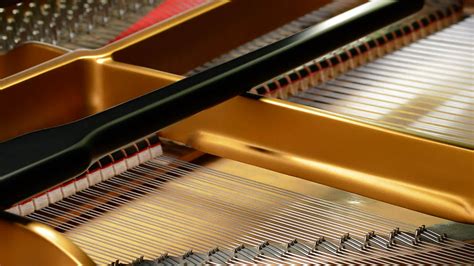 Interior piano sounds 33861917 Stock Video at Vecteezy