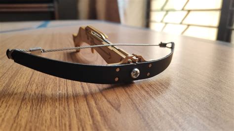 Crossbow Fishing Setup 的图像结果