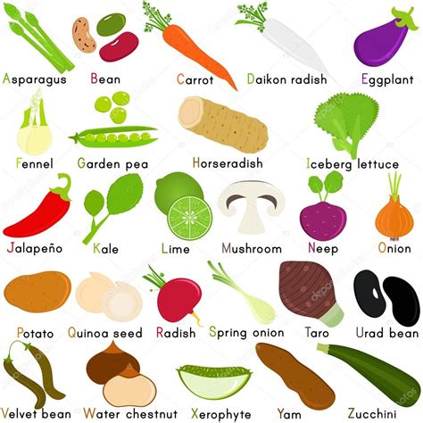 What Vegetable Starts With B at Robert Bence blog
