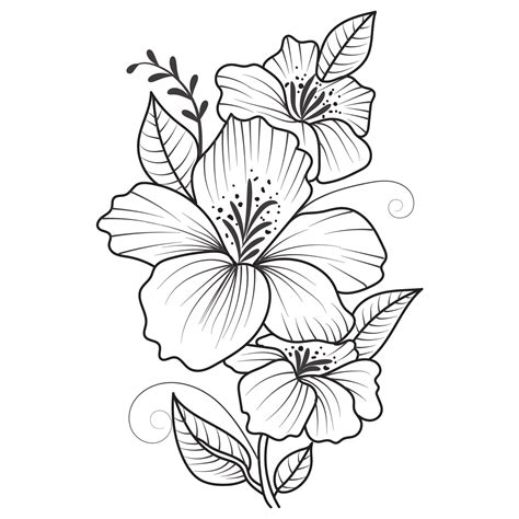 Set of differents flower line on white background. Flowers drawing with ...