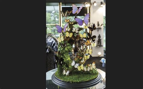 地球 Art 的图像结果