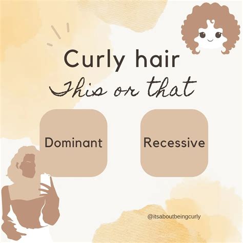 Curly Hair Dominant Or Recessive