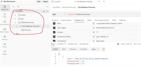 Image result for Postman in ASP .Net Web API