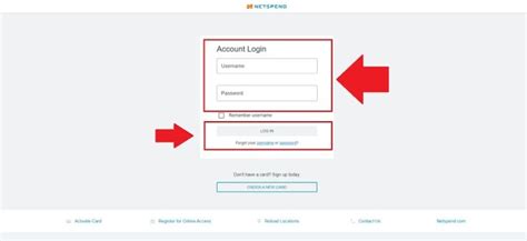 NetSpend Card Balance Check 的图像结果