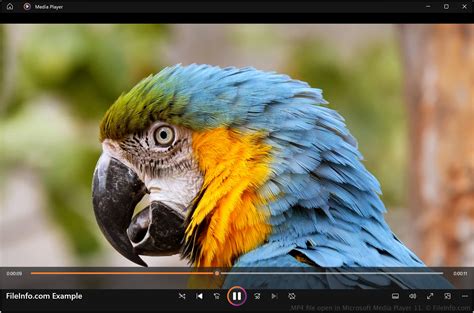 MP4 File - What is an .mp4 file and how do I open it?