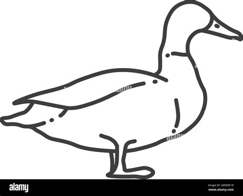 Duck Black And White Drawing Coloring Page Outline Of Cute Duck Black