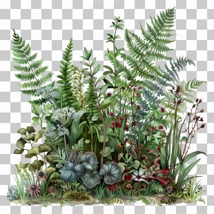Image result for Coid for Java