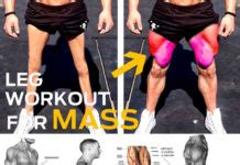 Back Extension Muscles Worked 的图像结果