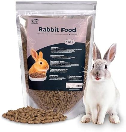 Buy Petslife All Life Stages Rabbit Premium Dry Food, 1 kg Online at ...