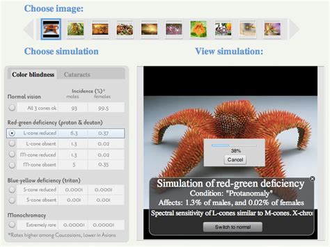 Color Vision Simulation 的图像结果