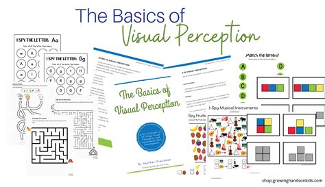 Image result for Visual Perception Meaning