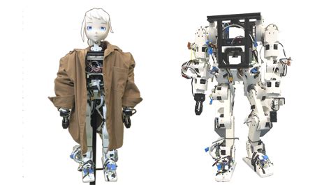 Humanoid Robotics Project 的图像结果