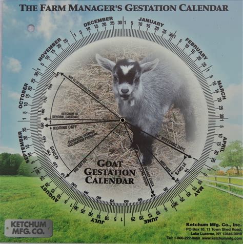 Animal Gestation calendar