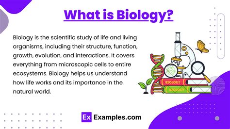 Image result for Structure and Function Biology Examples