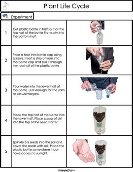 Image result for Recycle Science Experiment