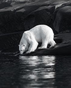 OIP.N_HkfaArKH_2nDUiooNndQAAAA?rs=1&pid=