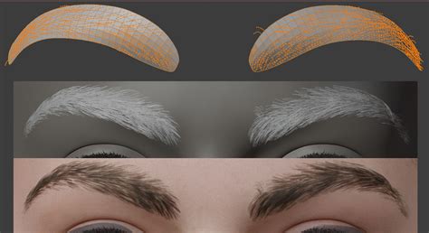 Image result for Blender Eyebrows Tutorial