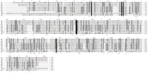 Host–Parasite Interactions