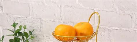 Buy Next In Crafts Stainless Steel 2 -Tier Countertop Fruit & Vegetable ...