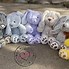 Image result for Cute Bunny Stuffed Animals