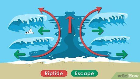 Image result for Tutorial How to Swim