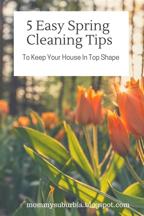 Image result for Easy Spring Cleaning Tips