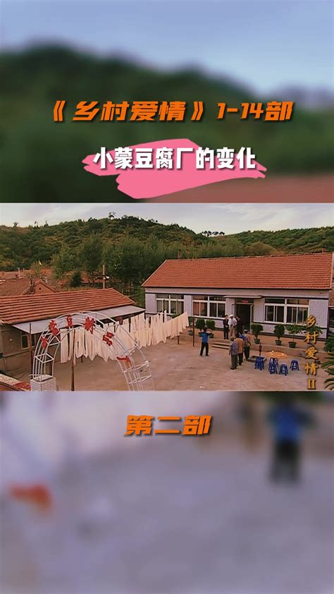 九十年代北京王致和豆腐厂臭豆腐乳制作工艺_腾讯视频
