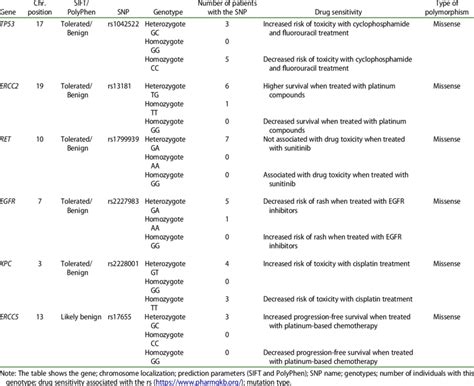 Variants Library NGS 的图像结果