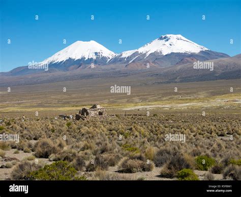 High Andean tundra landscape in the mountains of the Andes. The weather ...