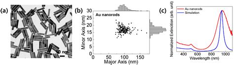 Photocurrent Enhancement of PtSe2 Photodetectors by Using Au Nanorods