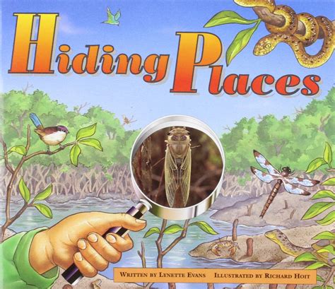Hiding Places (18) (ELEM/MATH/LANGUAGE) : Evans, Lynette: Amazon.in: Books
