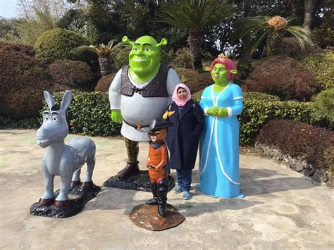 Jeju Personalized Private Guide Tours - Danlucy Trip - 2022 What to ...