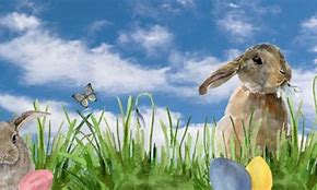 Image result for Images of Easter Bunnies