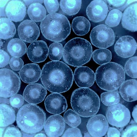 Cells Under A Microscope Photos at Michael Shelor blog