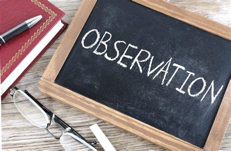 Observation Test 的图像结果