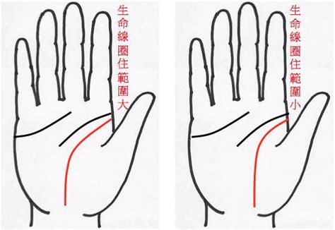 中国的手相学是如何通过手纹判断命理运程和吉凶的？