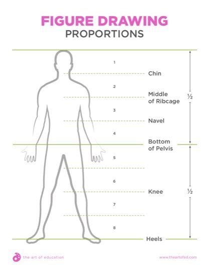 Image result for Basic Human Form Drawing