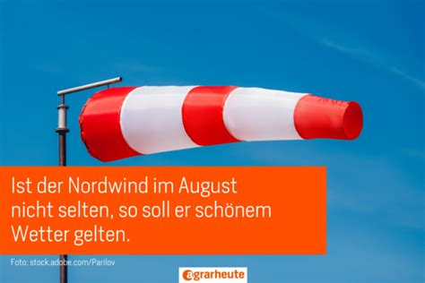 Hundstage heiß - Winter lange weiß. Bauernregeln im August | agrarheute.com