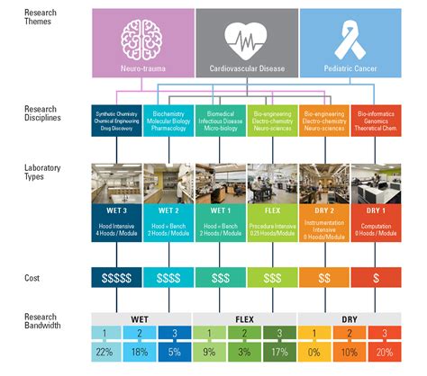 Three Types Of Laboratory at Annabelle Toomey blog