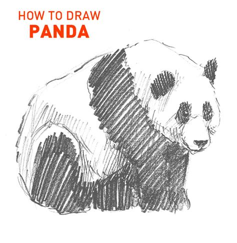 Panda Simple