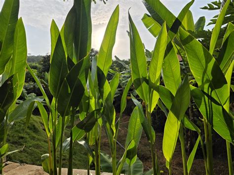 Samsung Galaxy S25 Edge review: Sleek, stylish & powerful, but has one ...